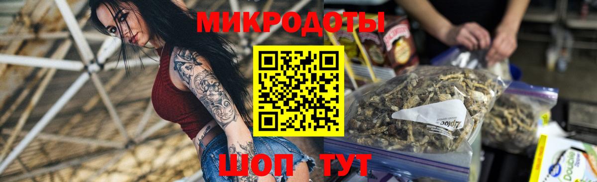 Псилоцибиновые грибы Cubensis Сальск